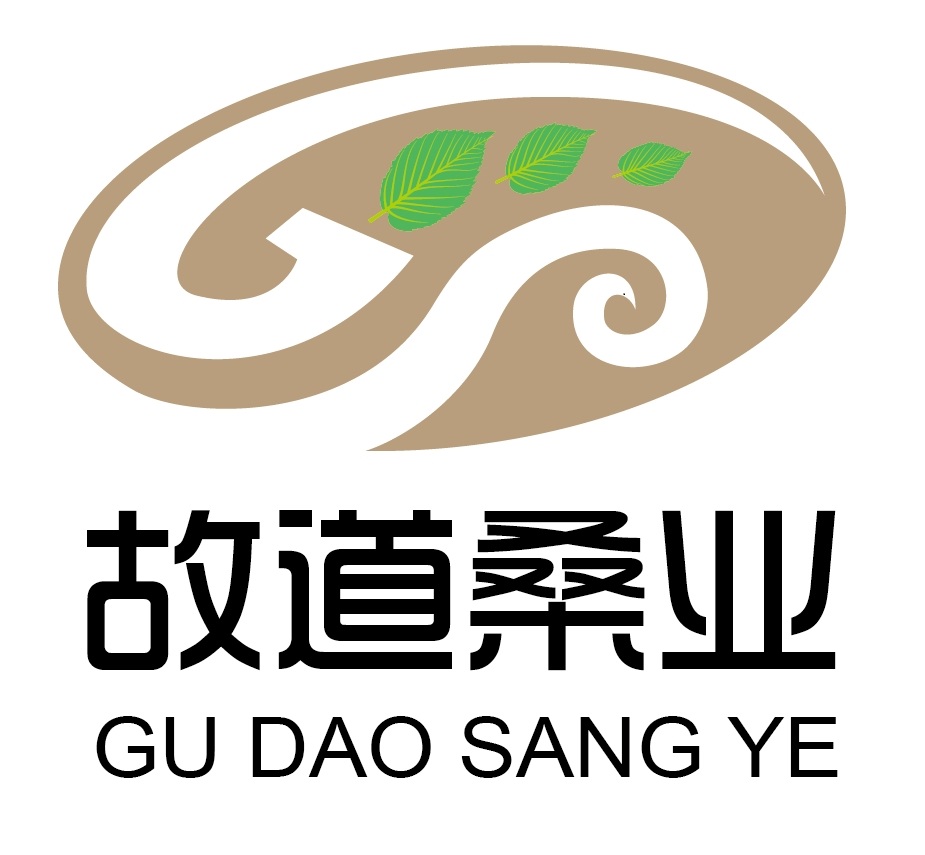 喝茶就可以防脫生發(fā)，太神奇了！桑葉養(yǎng)生茶
