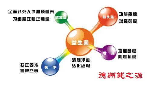 夏天腸胃問題頻發(fā)，您應該用益生菌了