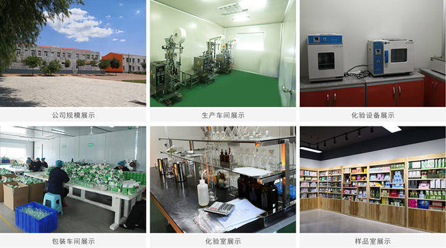 代餐粉代加工廠(chǎng)家車(chē)間以及設(shè)備-德州健之源